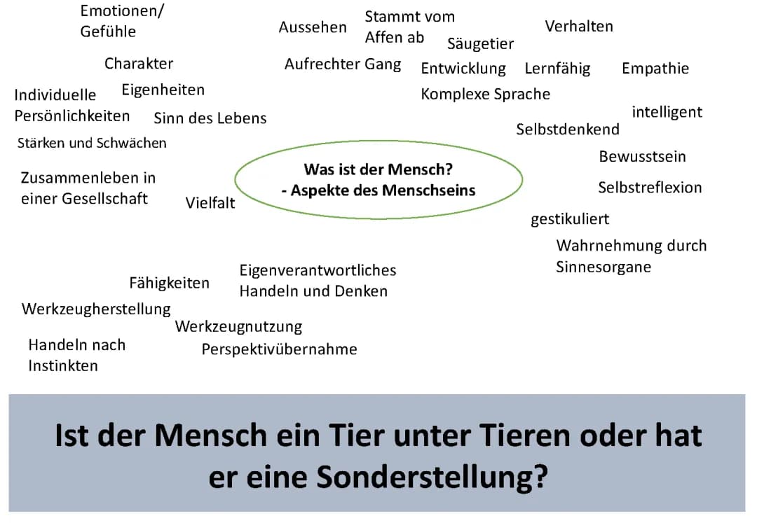 Tier und Mensch