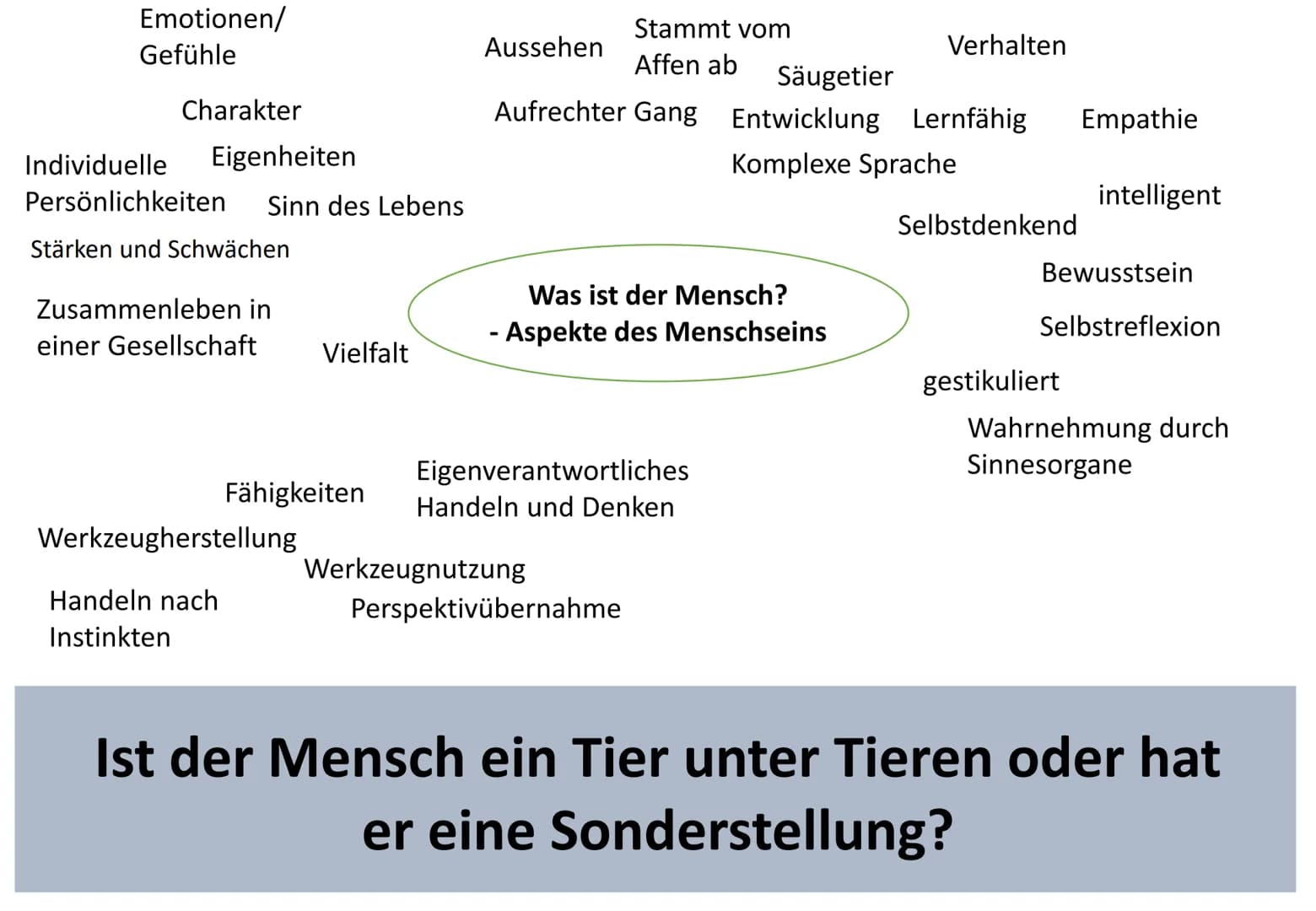 5
10
15
20
25
PL EF
Anthropologie
Stöckmann
Ist Sprache ein Alleinstellungsmerkmal des Menschen?
19.02.21
Arbeitsauftrag:
Untersuche, worin 