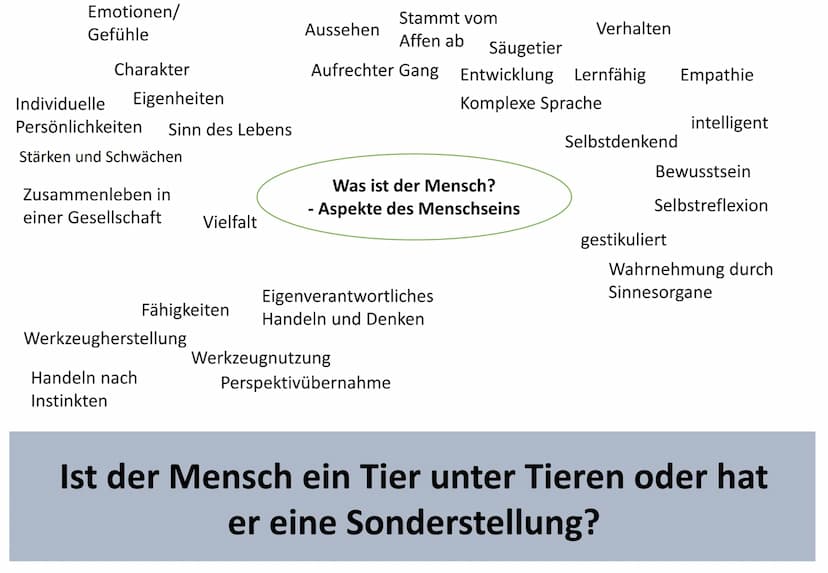 5
10
15
20
25
PL EF
Anthropologie
Stöckmann
Ist Sprache ein Alleinstellungsmerkmal des Menschen?
19.02.21
Arbeitsauftrag:
Untersuche, worin 