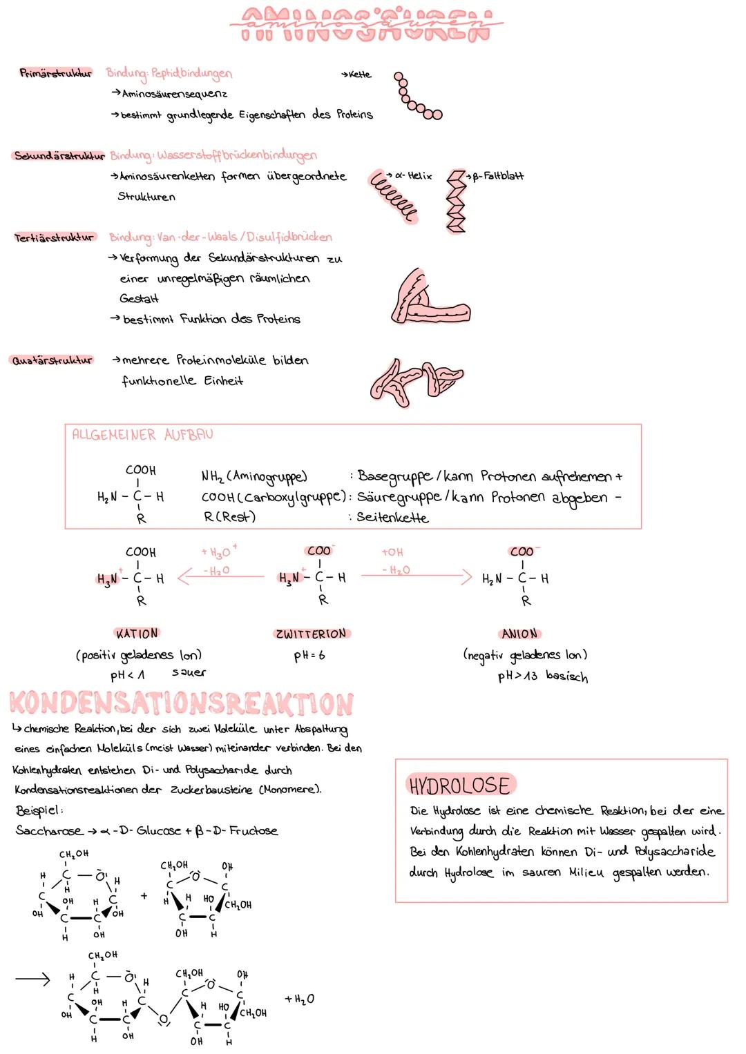 Definition: Verbindungen aus Kohlenstoff, Wasserstoff und Sauerstoff.
↳ Formel Cx (H₂O)y
Hydrat
↳bestehen aus jeweils nur einem Zuckerbauste