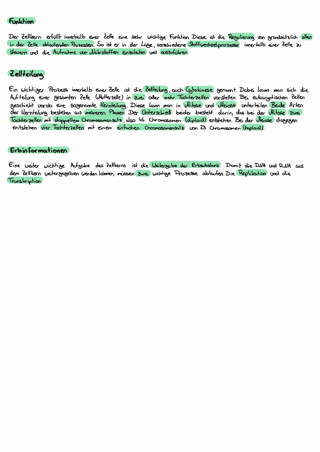 Was ist der Zellkern?
Der Zellkern, auch Nukleus oder Nucleus genannt, ist ein wichtiger Bestandteil im Bau einer Zelle. Er ist das größte
Z