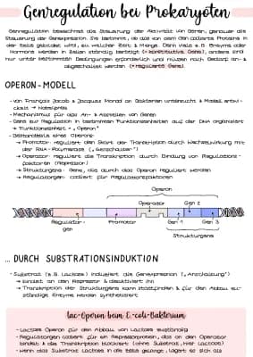 Know Genregulation (Pro- & Eukaryoten) | Genetik thumbnail