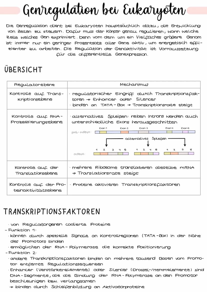 Genregulation bei Prokaryoten
Genregulation bezeichnet die Steuerung der Aktivität von Genen, genauer die
Steuerung der Genexpression. Sie b