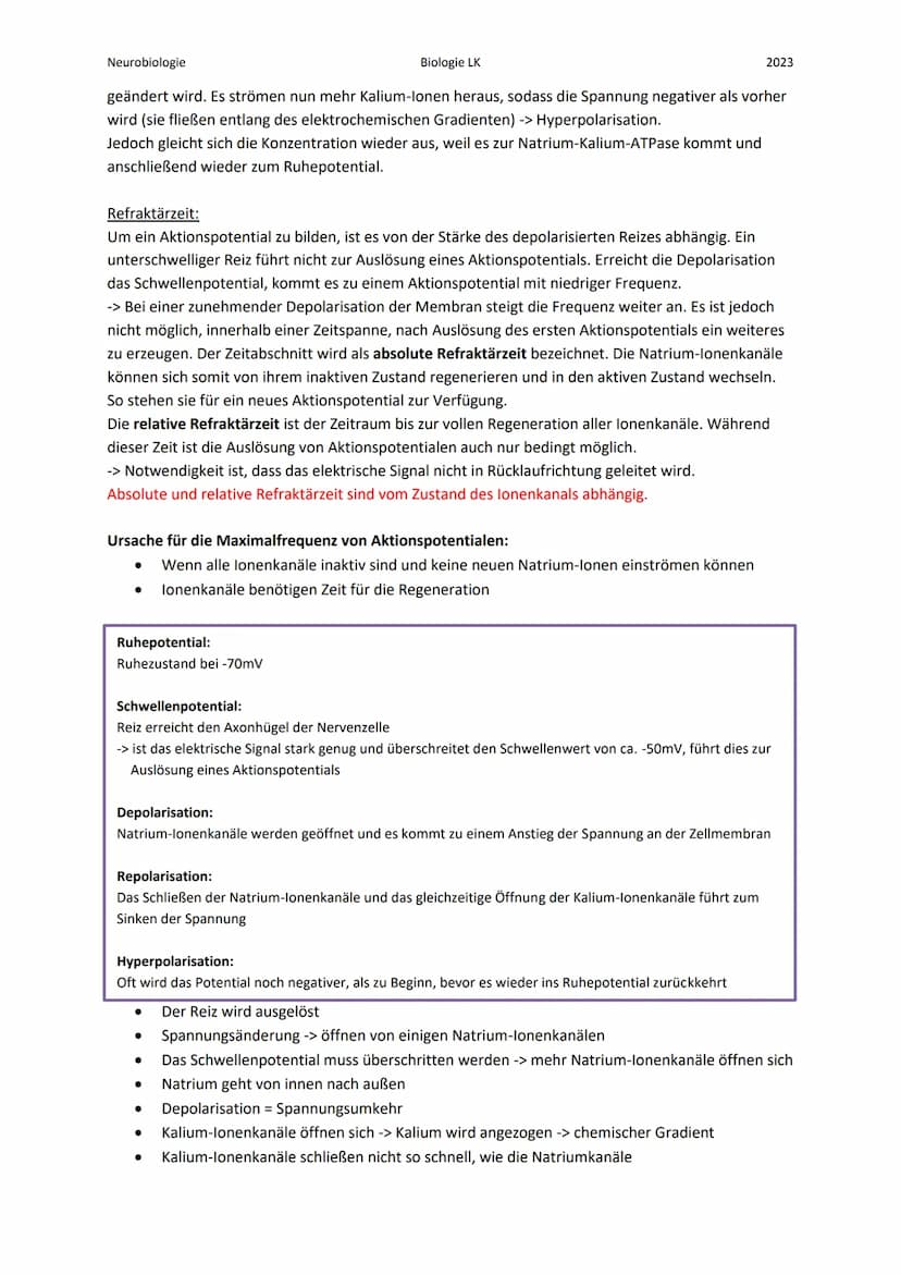Neurobiologie
Die Nervenzelle:
Bau eines Neurons:
Zellkern
Axon
Myelinscheide
Endknöpfchen (Synapse).
Soma
Biologie LK
Teil 1
Dendrit
Ranvie
