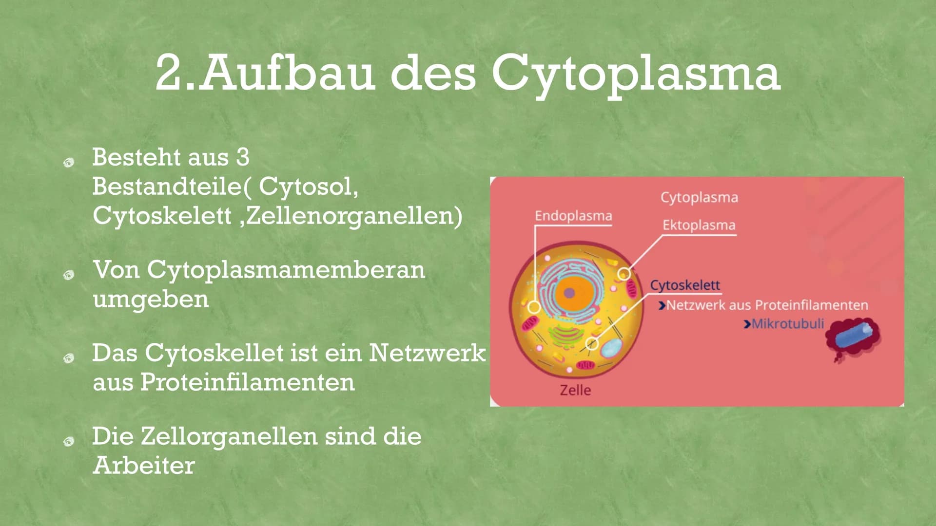 aytoplasma
Was ist Cytoplasma
Das gytoplasma ist die Flüssige Grundsubstanz innerhalb line selle,
also besser gesagt innerhalb der Zellmem b