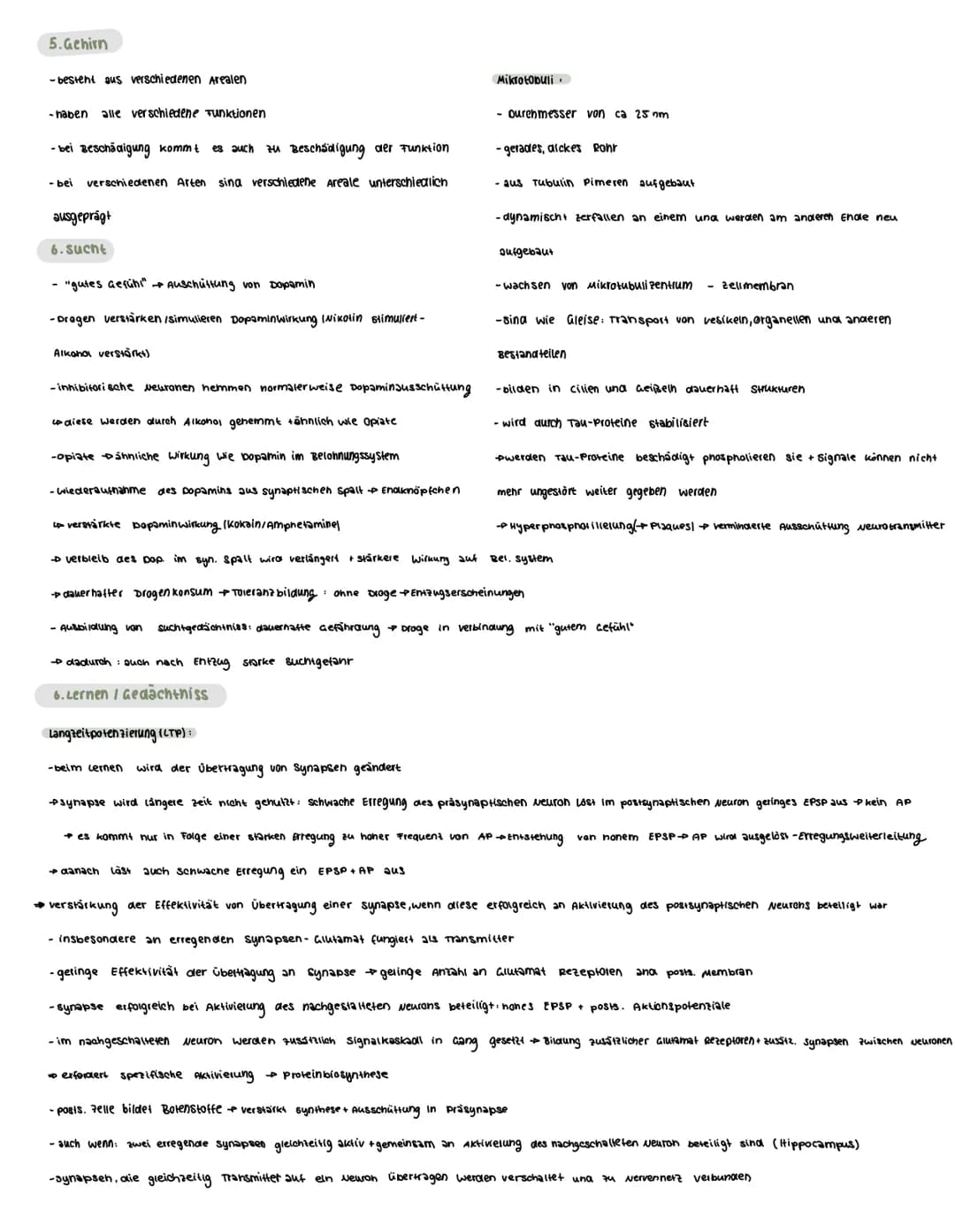  Voraussetzungswissen
Aufbau einer Nervenzelle (Neuron):
Zellkörper (soma)
schnurring
•Zellkern
Dendriten
Reiz-Reaktions-schema
Runepotenzia