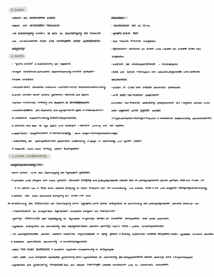  Voraussetzungswissen
Aufbau einer Nervenzelle (Neuron):
Zellkörper (soma)
schnurring
•Zellkern
Dendriten
Reiz-Reaktions-schema
Runepotenzia
