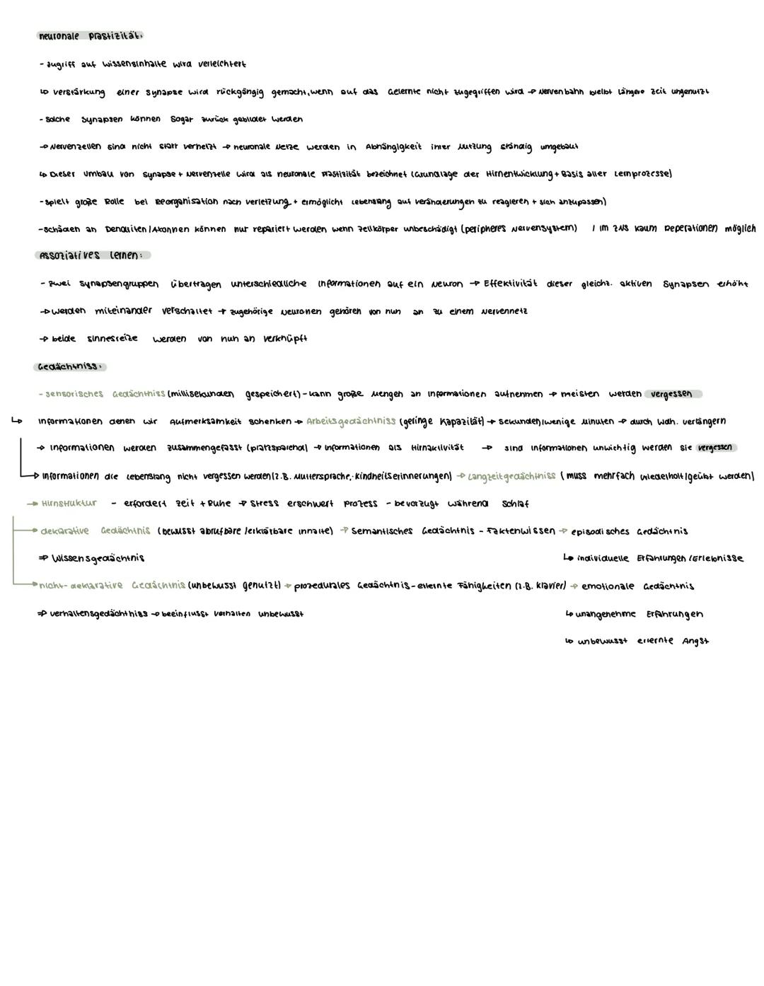  Voraussetzungswissen
Aufbau einer Nervenzelle (Neuron):
Zellkörper (soma)
schnurring
•Zellkern
Dendriten
Reiz-Reaktions-schema
Runepotenzia