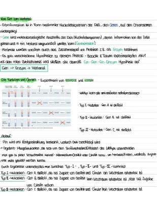 Know Ein Gen Ein Enzym Hypothese / Experiment thumbnail