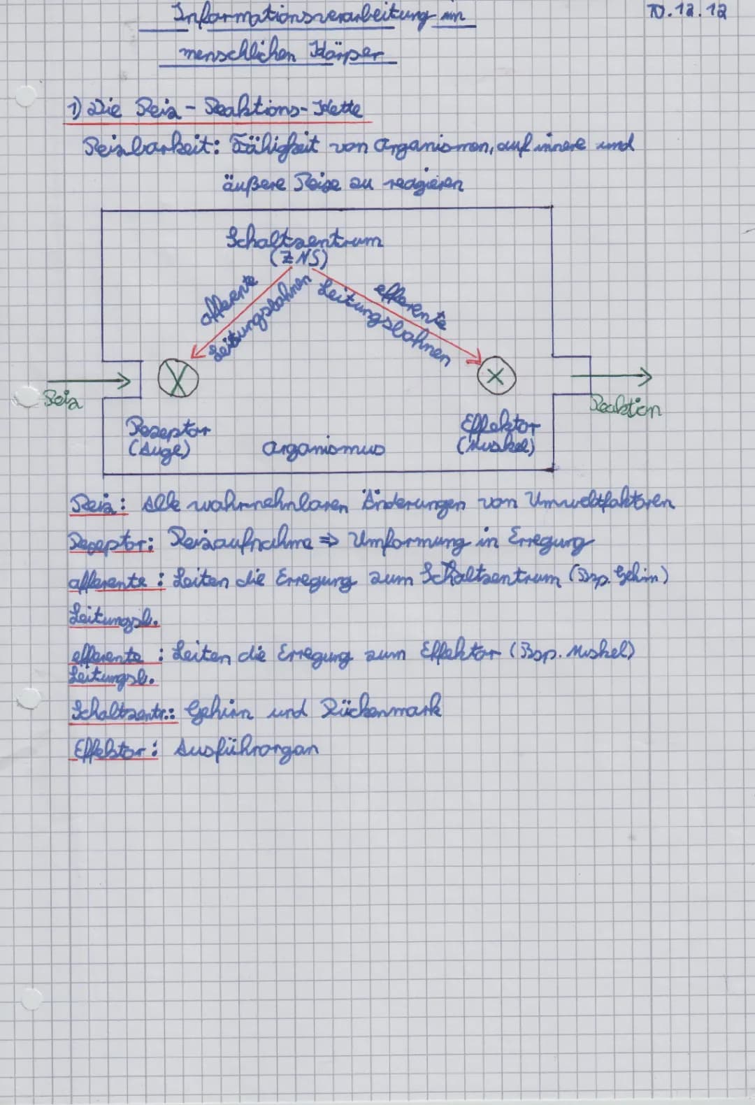 Die Reiz-Reaktions-Kette