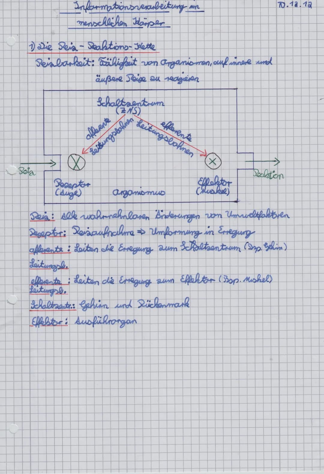 Informationsverarbeitung an
menschlichen Körper
1) Die Reis - Reaktions-Jolette
Reisbarkeit: Fähigkeit von Arganismen, auf innere und
äußere