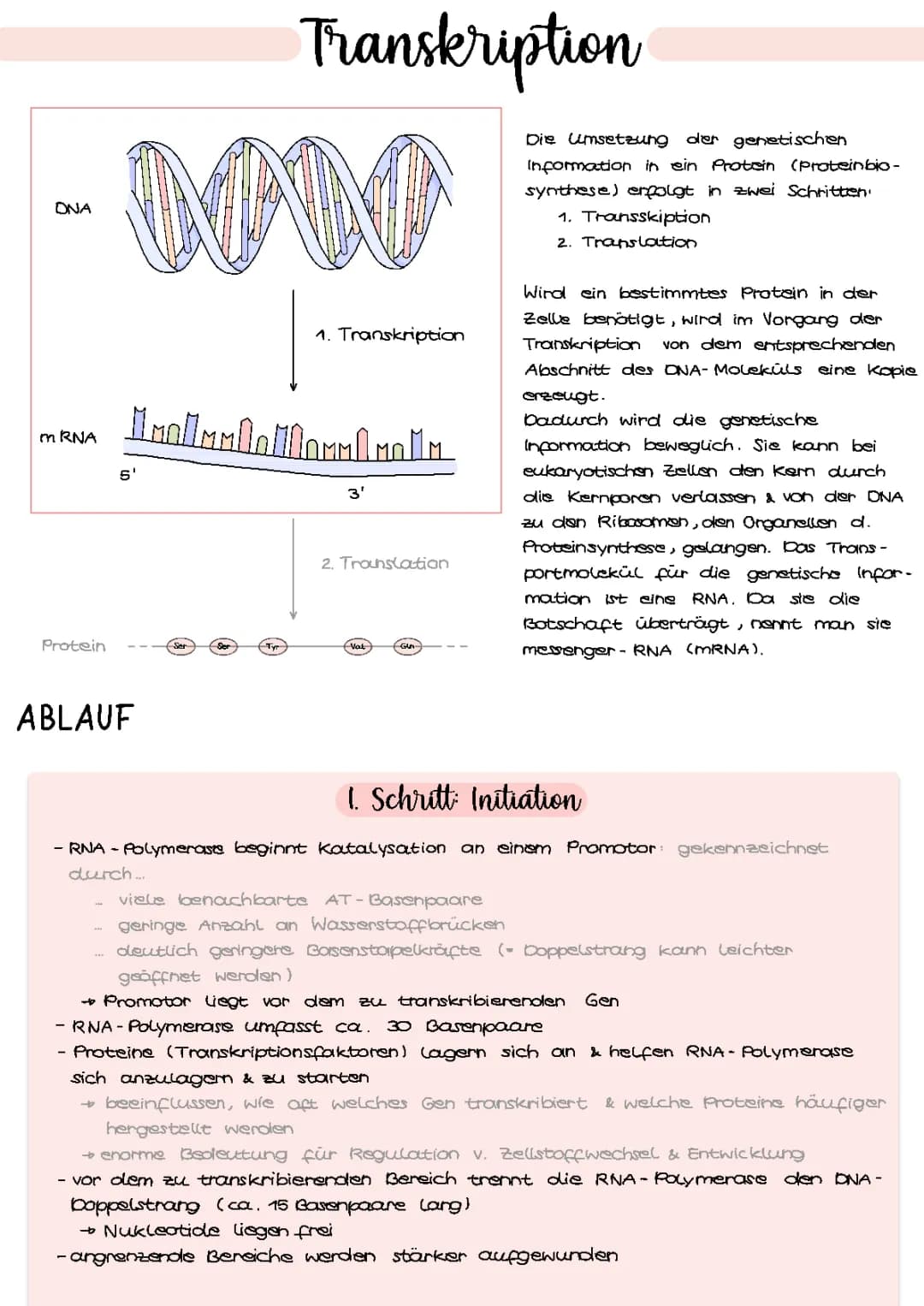 Transkription 