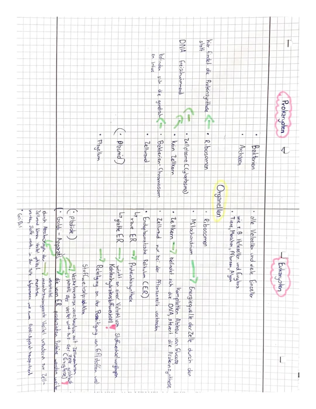 Prokaryoten und Eukaryoten