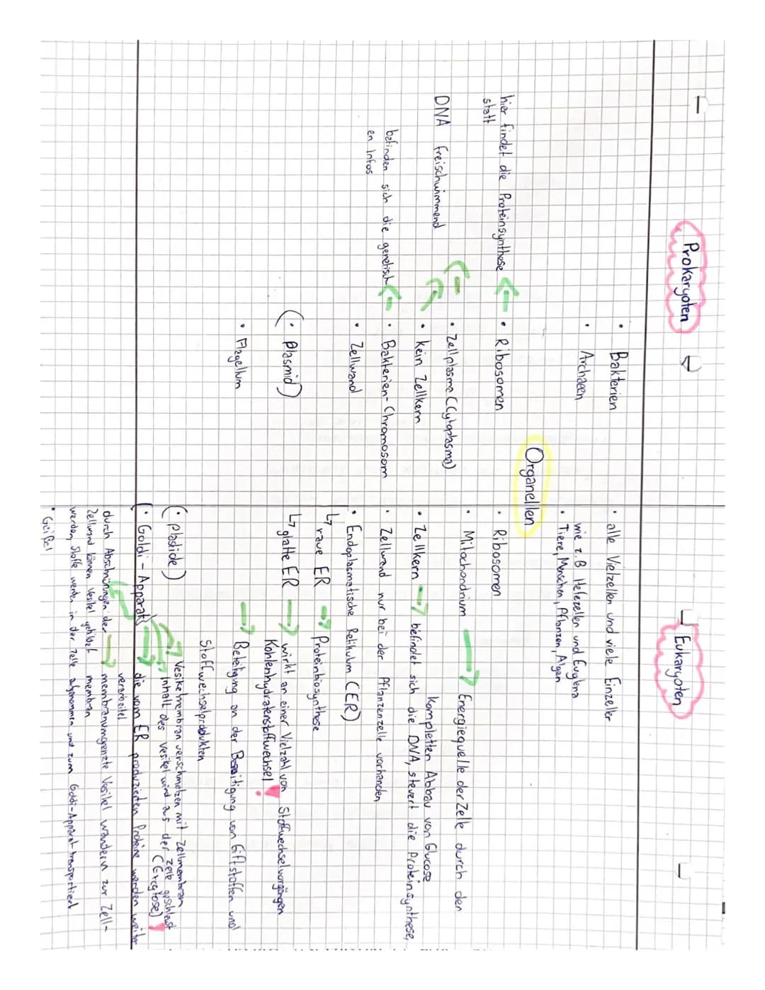 T
DNA
Prokaryoten
Freischwimmend
e
hier findet die Proteinsynthese • Ribosomen
statt
KE
.
befinden sich die genetisch
en Infos
.
.
♥
Bakteri