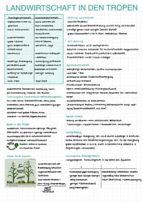 Know Landwirtschaft in den Tropen thumbnail