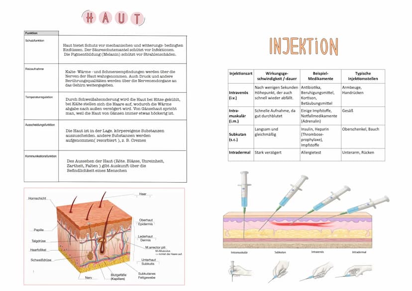Haut Dekubitus
Die Hautpflege umfasst die Reinigung der Haut sowie Maßnahmen, die die
natürlichen Funktionen der Haut unterstützen. Im weite