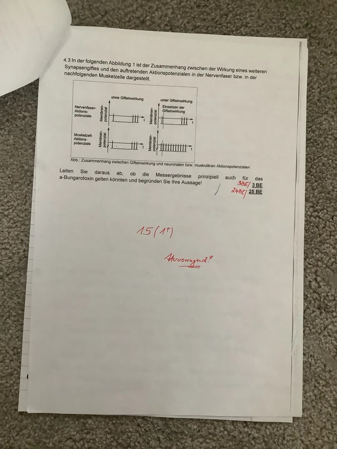 Leistungskontrolle Biologie eA 20/1
Thema: Neurobiologie
1. Stellen Sie in einer beschrifteten Skizze die Abfolge der Vorgänge an einer Syna