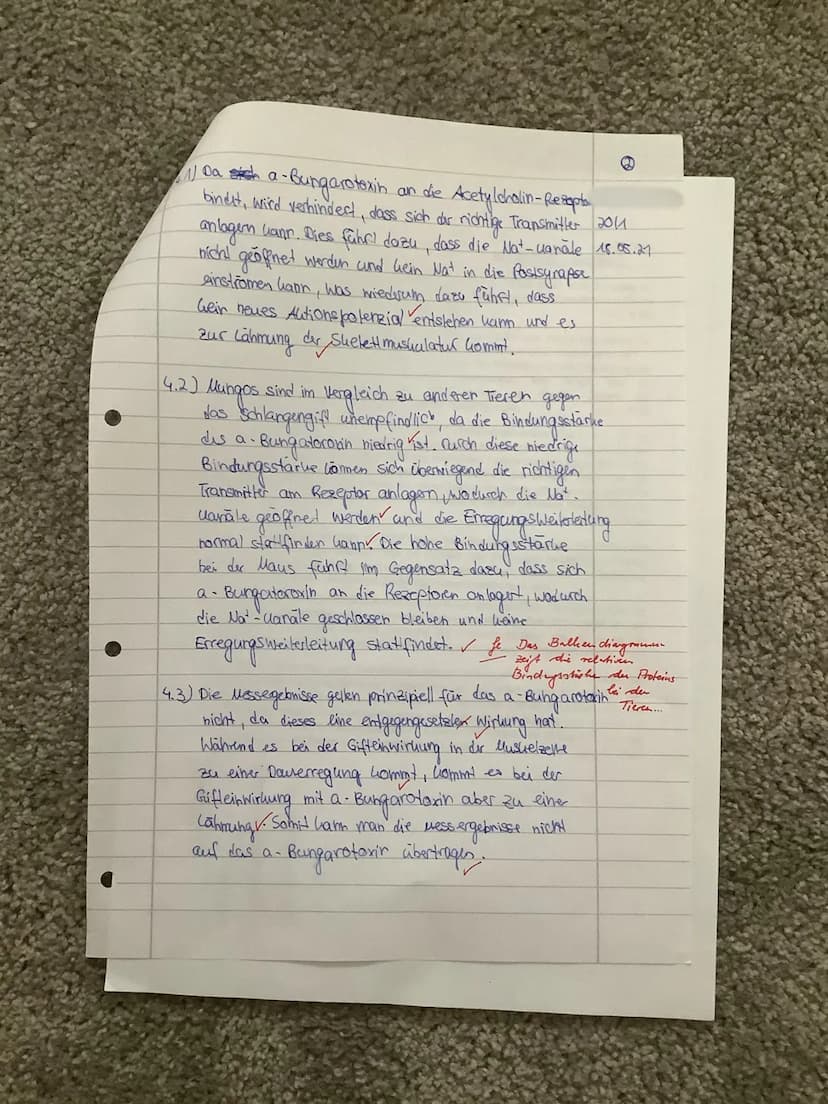 Leistungskontrolle Biologie eA 20/1
Thema: Neurobiologie
1. Stellen Sie in einer beschrifteten Skizze die Abfolge der Vorgänge an einer Syna