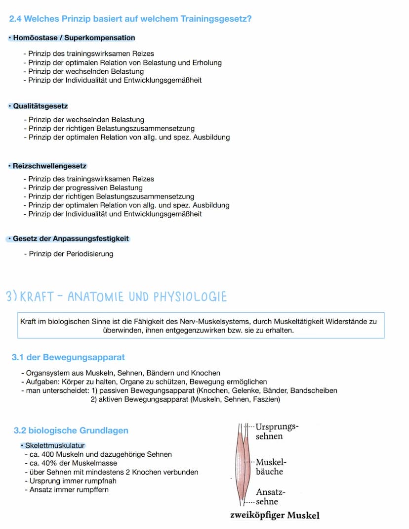 Training
sportliches Training ist die planmäßige und systematische Realisation von Maßnahmen (Trainingsinhalten und
Methoden) zur nachhaltig