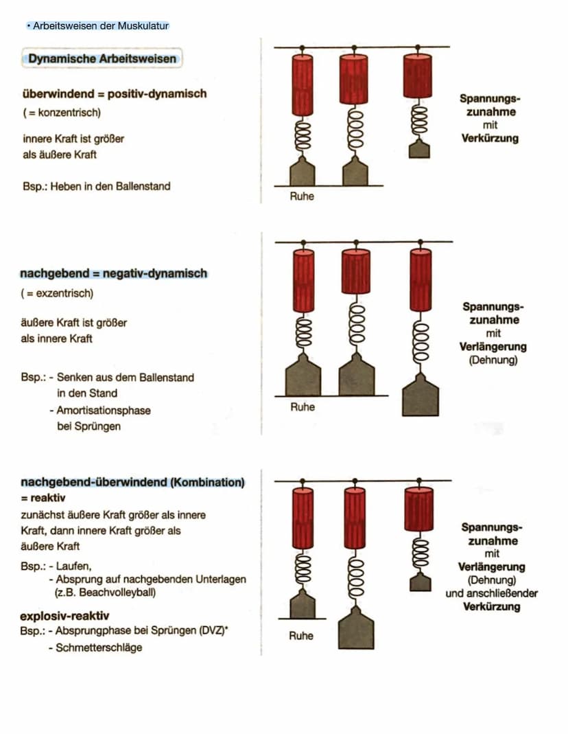 Training
sportliches Training ist die planmäßige und systematische Realisation von Maßnahmen (Trainingsinhalten und
Methoden) zur nachhaltig