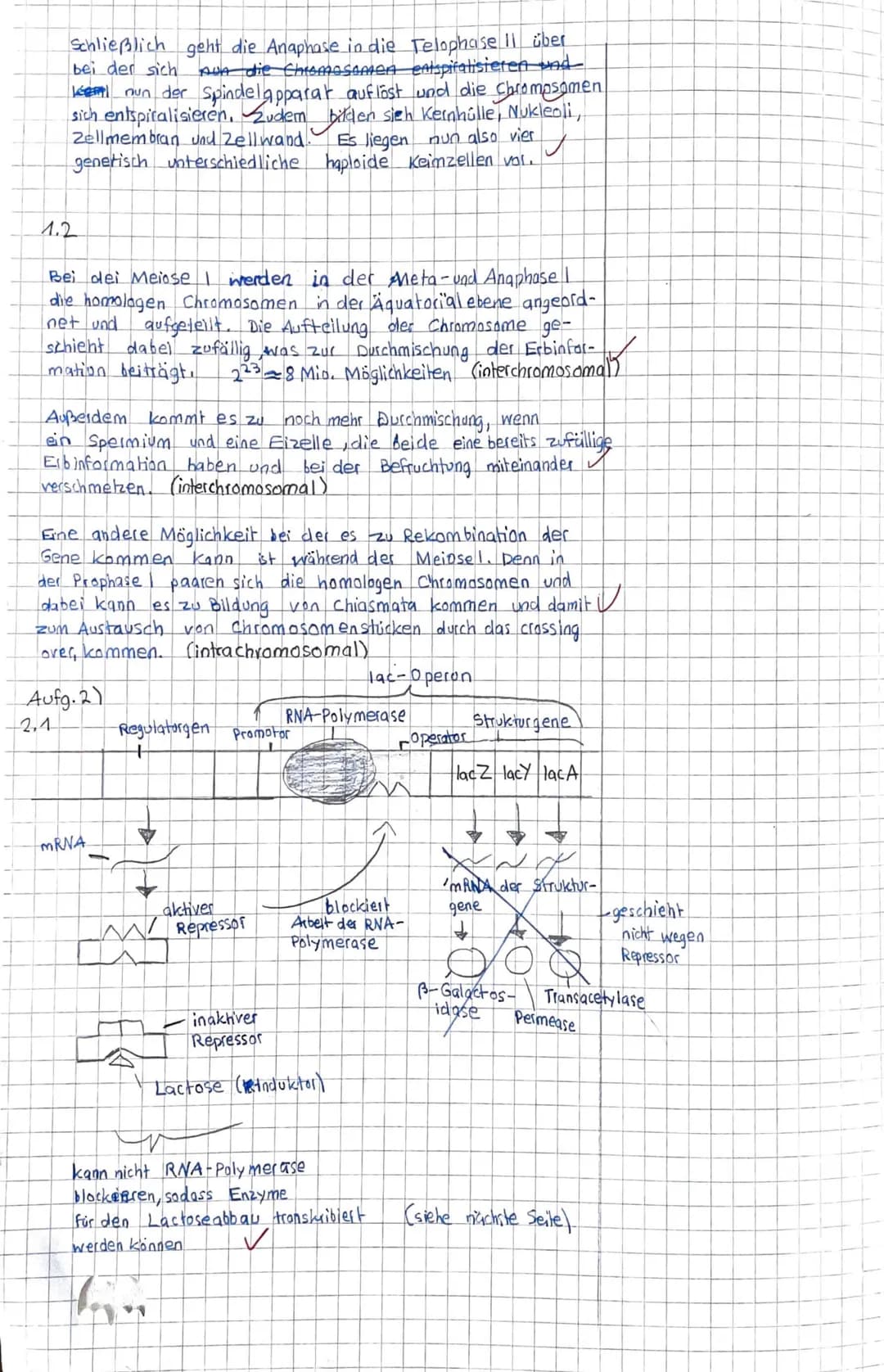 Gesamtschule Rosenhöhe
Date: 13.01.2022
Lehrerunterschrift:
Aufgabe 1:
Be W ertung
Gesamtpunktzahl: 113 Punkte - entspricht der Note: sehr g