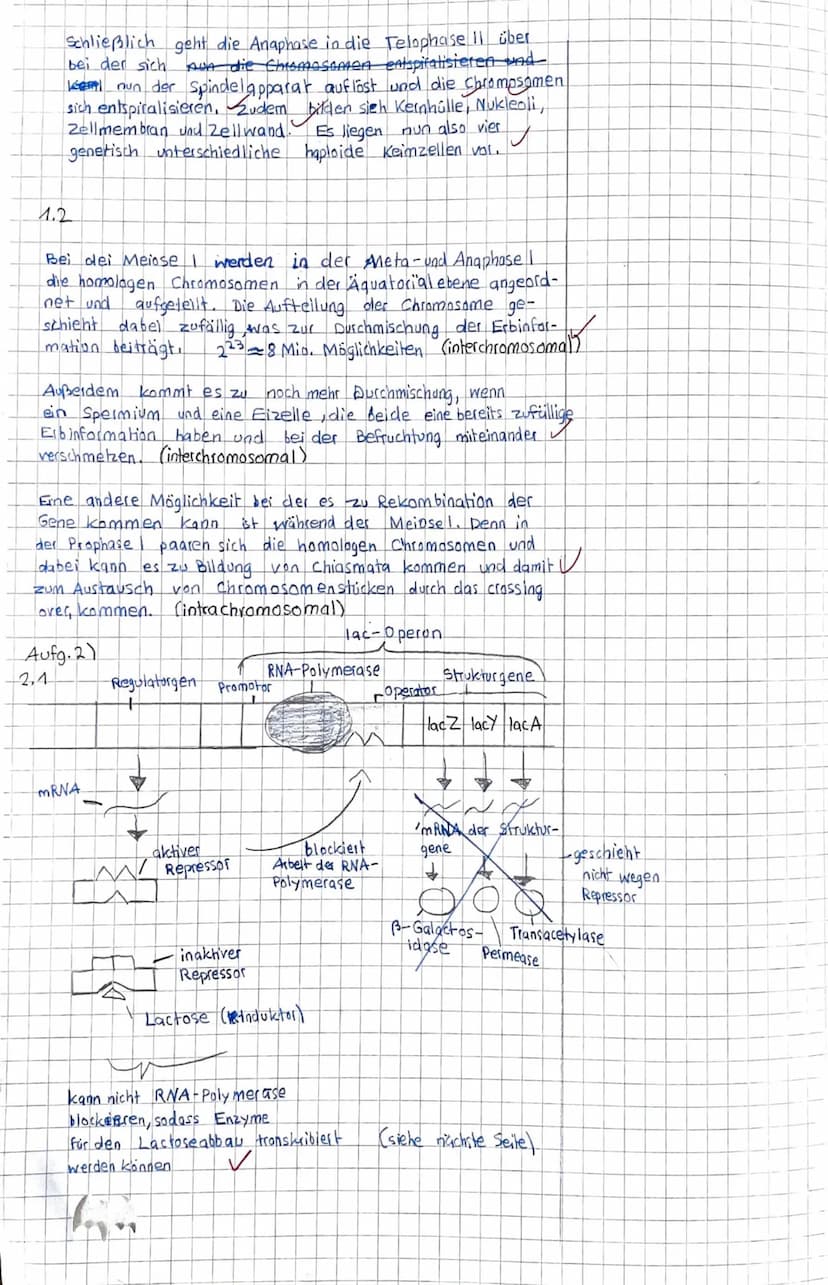 Gesamtschule Rosenhöhe
Date: 13.01.2022
Lehrerunterschrift:
Aufgabe 1:
Be W ertung
Gesamtpunktzahl: 113 Punkte - entspricht der Note: sehr g