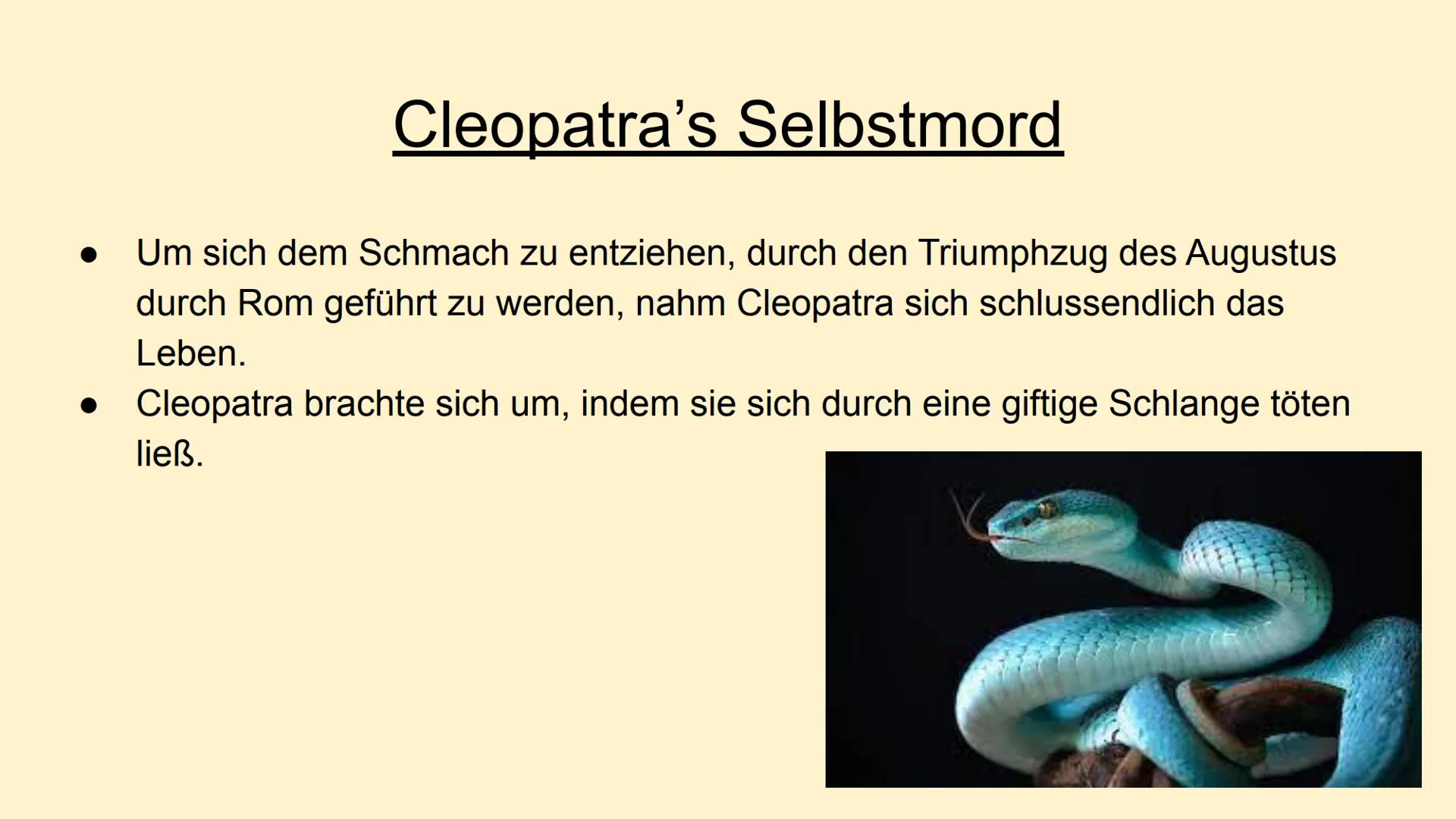 # Caesar und Cleopatra # Aufbau

- Steckbrief/ Biografie Cleopatra
- Steckbrief Caesar
- Beziehung zwischen den beiden
- Cleopatras Selbstmo