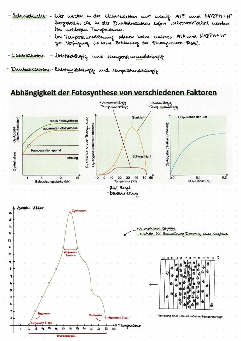 Inhalt:
Biologie
- Was ist ökologie? (biotische & abiotische Faktoren)
der Bau eines Blattes
- der Feinbau der Chloroplasten
-Ort der Fotosy