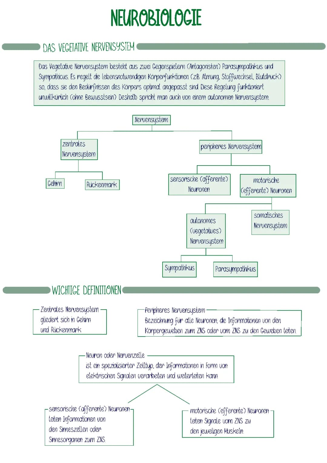 NEUROBIOLOGIE 