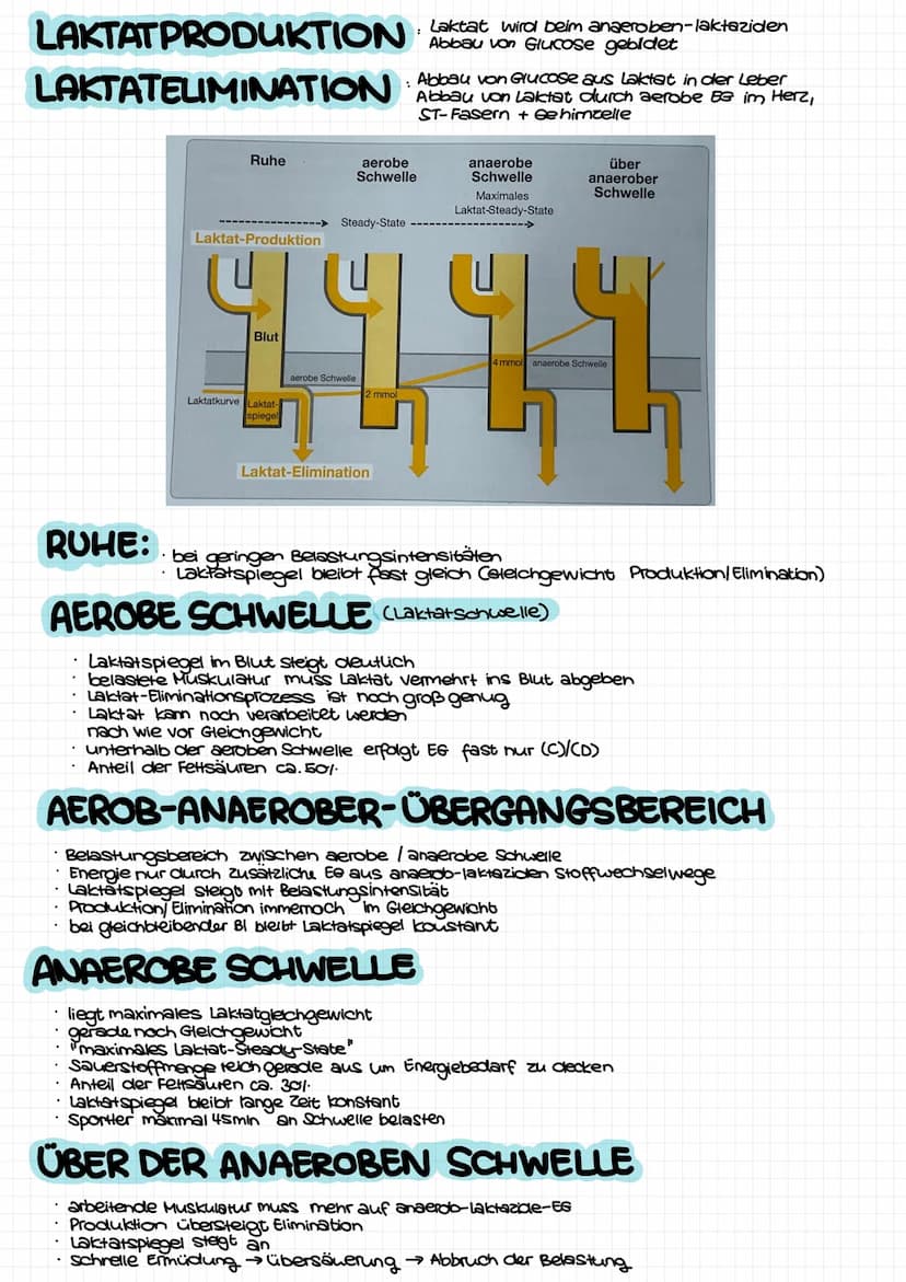 AUSDAUER: Lohnt sich Ausdauertraining
Im Bereich von Gesundheit und Fitness kommt es nicht darauf an, eine sportliche
Leistungen zu optimier