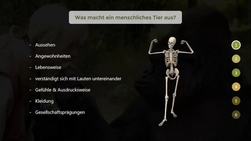 Inwiefern unterscheiden sich menschliche Tiere
von nicht-menschlichen Tieren?
THE GORILLA FOUNDATION 1
2
Gliederung
Was macht ein menschlich