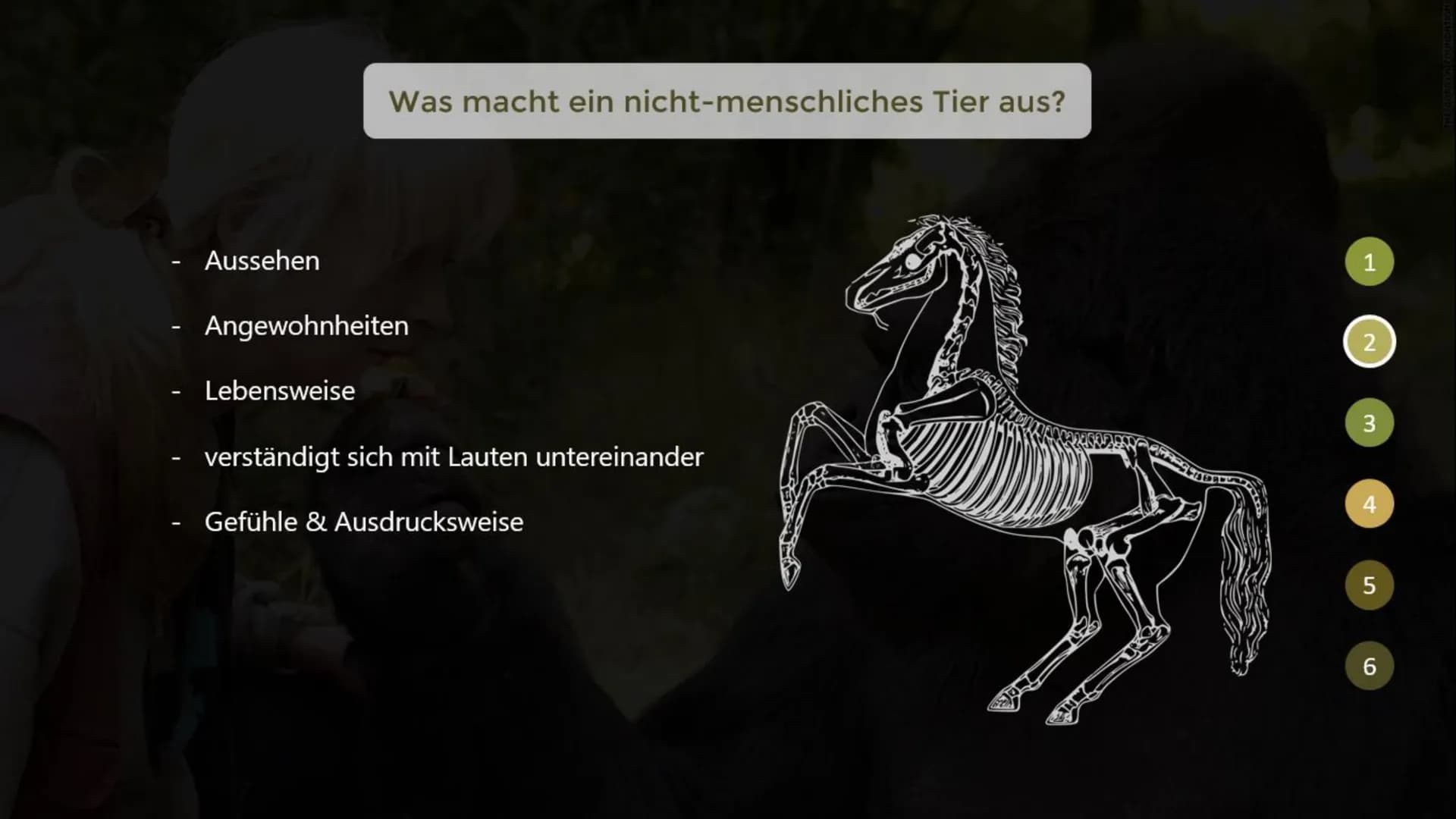 Inwiefern unterscheiden sich menschliche Tiere
von nicht-menschlichen Tieren?
THE GORILLA FOUNDATION 1
2
Gliederung
Was macht ein menschlich