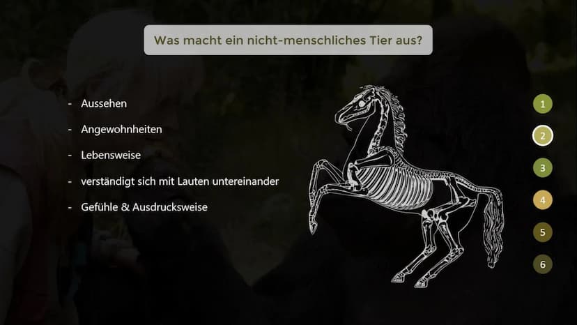 Inwiefern unterscheiden sich menschliche Tiere
von nicht-menschlichen Tieren?
THE GORILLA FOUNDATION 1
2
Gliederung
Was macht ein menschlich