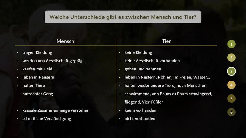 Inwiefern unterscheiden sich menschliche Tiere
von nicht-menschlichen Tieren?
THE GORILLA FOUNDATION 1
2
Gliederung
Was macht ein menschlich