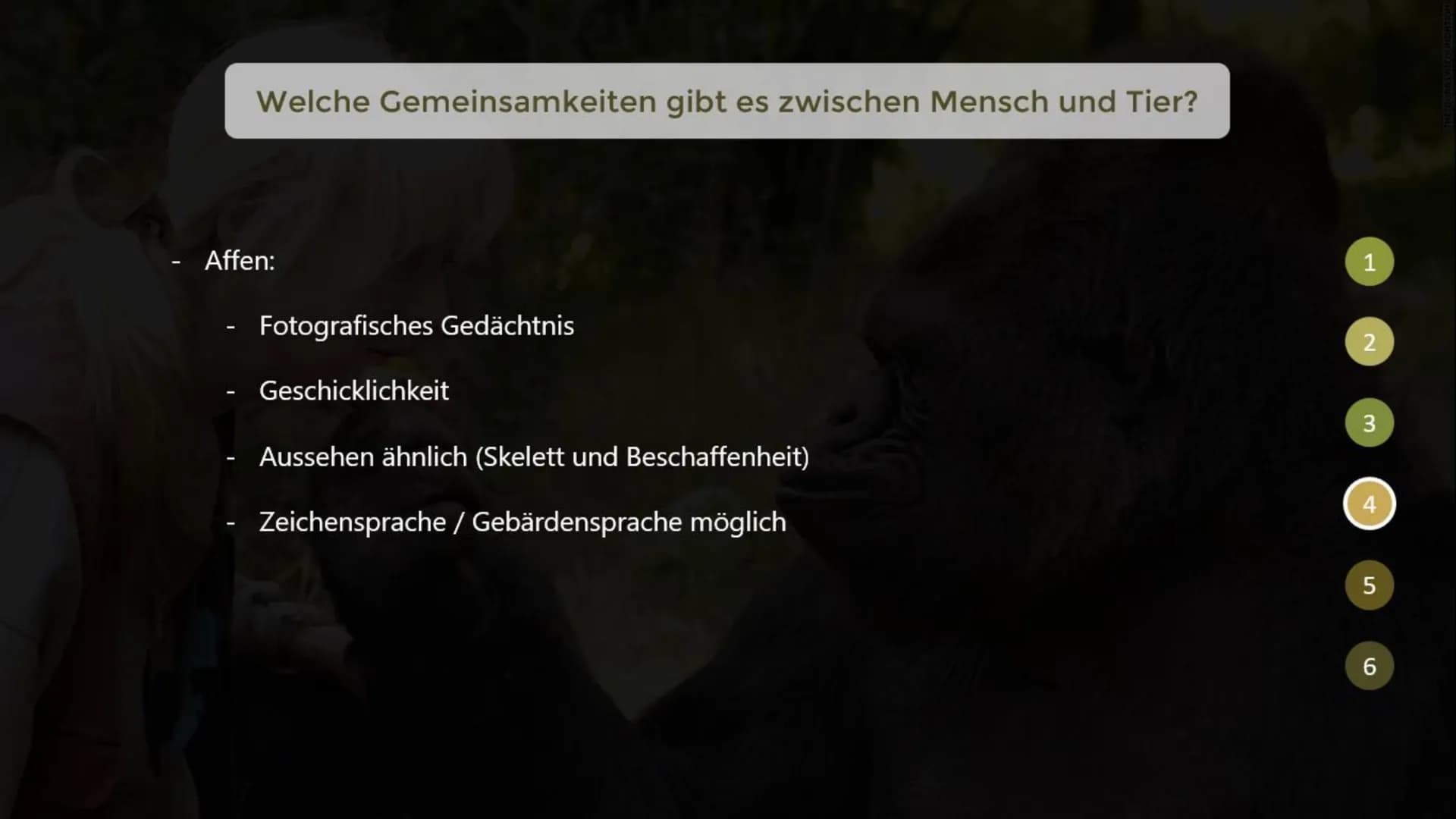 Inwiefern unterscheiden sich menschliche Tiere
von nicht-menschlichen Tieren?
THE GORILLA FOUNDATION 1
2
Gliederung
Was macht ein menschlich