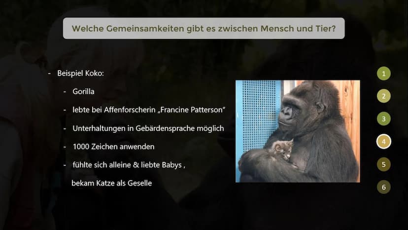 Inwiefern unterscheiden sich menschliche Tiere
von nicht-menschlichen Tieren?
THE GORILLA FOUNDATION 1
2
Gliederung
Was macht ein menschlich