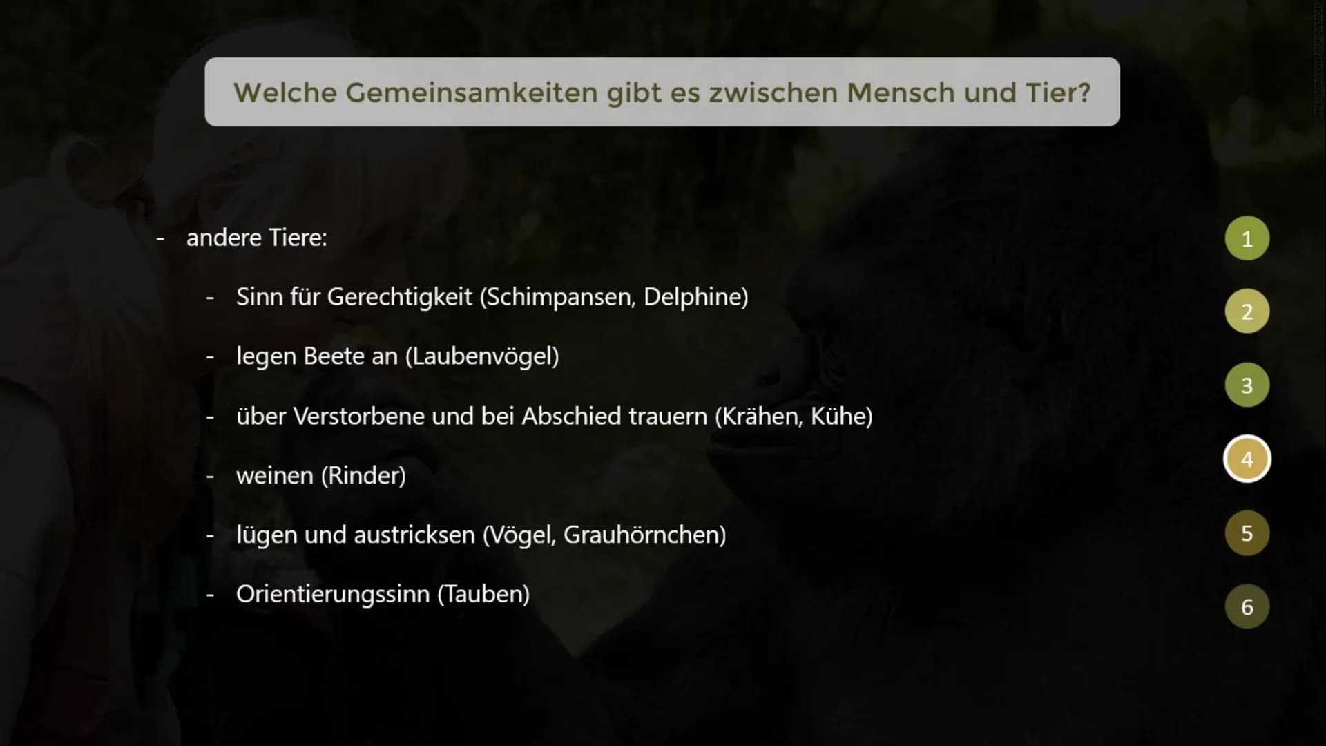 Inwiefern unterscheiden sich menschliche Tiere
von nicht-menschlichen Tieren?
THE GORILLA FOUNDATION 1
2
Gliederung
Was macht ein menschlich