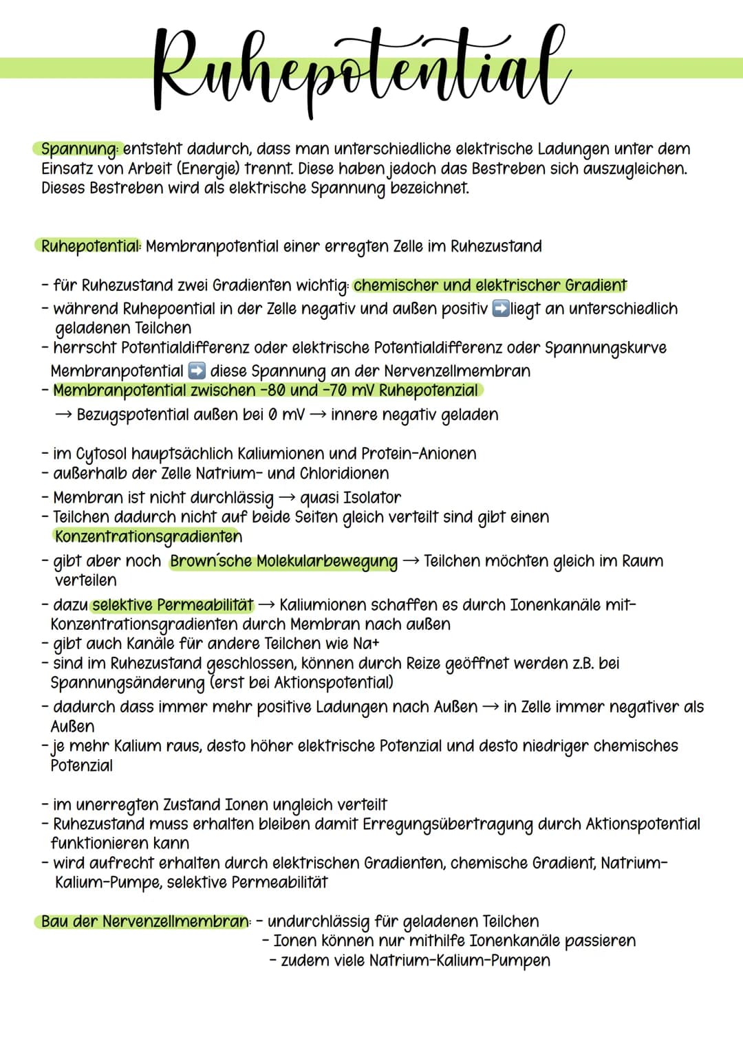 Ruhepotential
Spannung: entsteht dadurch, dass man unterschiedliche elektrische Ladungen unter dem
Einsatz von Arbeit (Energie) trennt. Dies