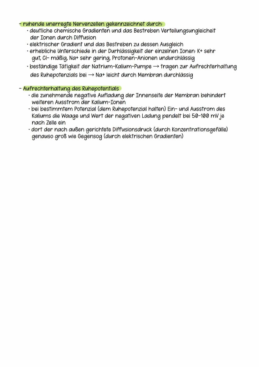Ruhepotential
Spannung: entsteht dadurch, dass man unterschiedliche elektrische Ladungen unter dem
Einsatz von Arbeit (Energie) trennt. Dies