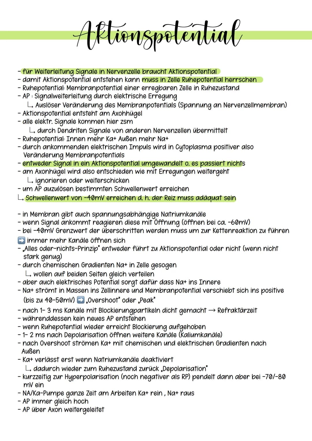 Ruhepotential
Spannung: entsteht dadurch, dass man unterschiedliche elektrische Ladungen unter dem
Einsatz von Arbeit (Energie) trennt. Dies