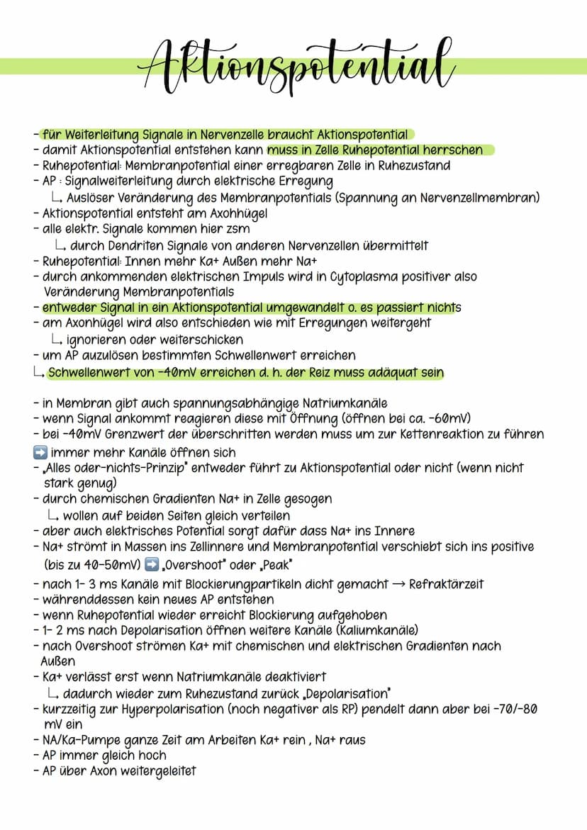 Ruhepotential
Spannung: entsteht dadurch, dass man unterschiedliche elektrische Ladungen unter dem
Einsatz von Arbeit (Energie) trennt. Dies