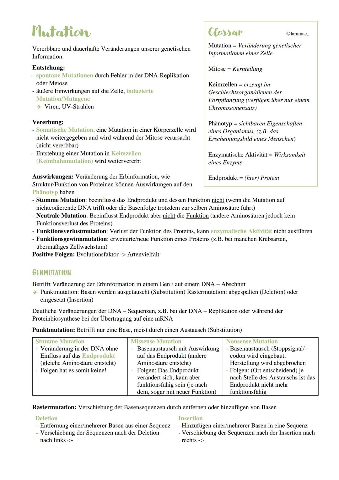 Mutation Genetik 