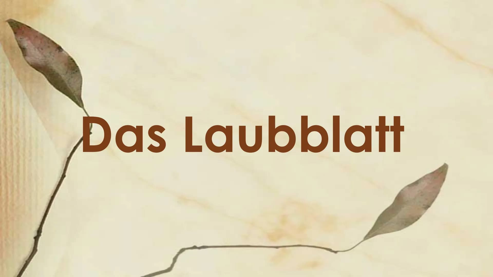 
<h2 id="laubblattaufbauundfunktion">Laubblatt Aufbau und Funktion</h2>
<p>Das Laubblatt ist ein wichtiger Bestandteil der Pflanze und hat v