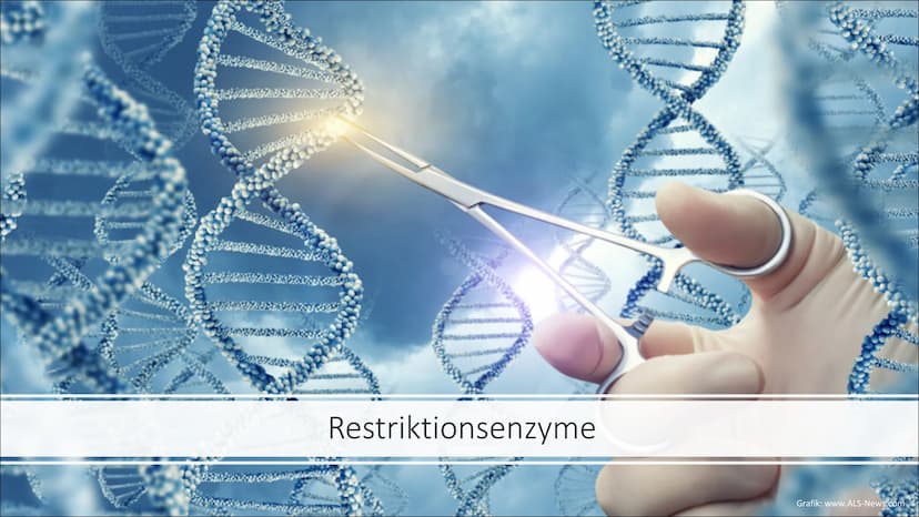 Molekulargenetische
Werkzeuge
Eine Präsentation von Nurish Ilazi Inhaltsverzeichnis
Kapitel 1: PCR
• Kapitel 2: Restriktionsenzyme und die T