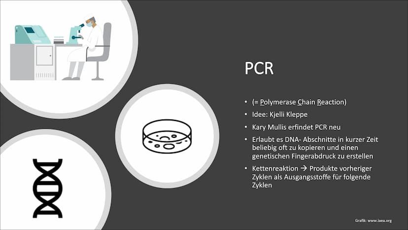 Molekulargenetische
Werkzeuge
Eine Präsentation von Nurish Ilazi Inhaltsverzeichnis
Kapitel 1: PCR
• Kapitel 2: Restriktionsenzyme und die T