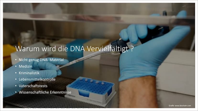 Molekulargenetische
Werkzeuge
Eine Präsentation von Nurish Ilazi Inhaltsverzeichnis
Kapitel 1: PCR
• Kapitel 2: Restriktionsenzyme und die T