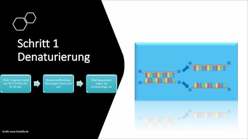 Molekulargenetische
Werkzeuge
Eine Präsentation von Nurish Ilazi Inhaltsverzeichnis
Kapitel 1: PCR
• Kapitel 2: Restriktionsenzyme und die T