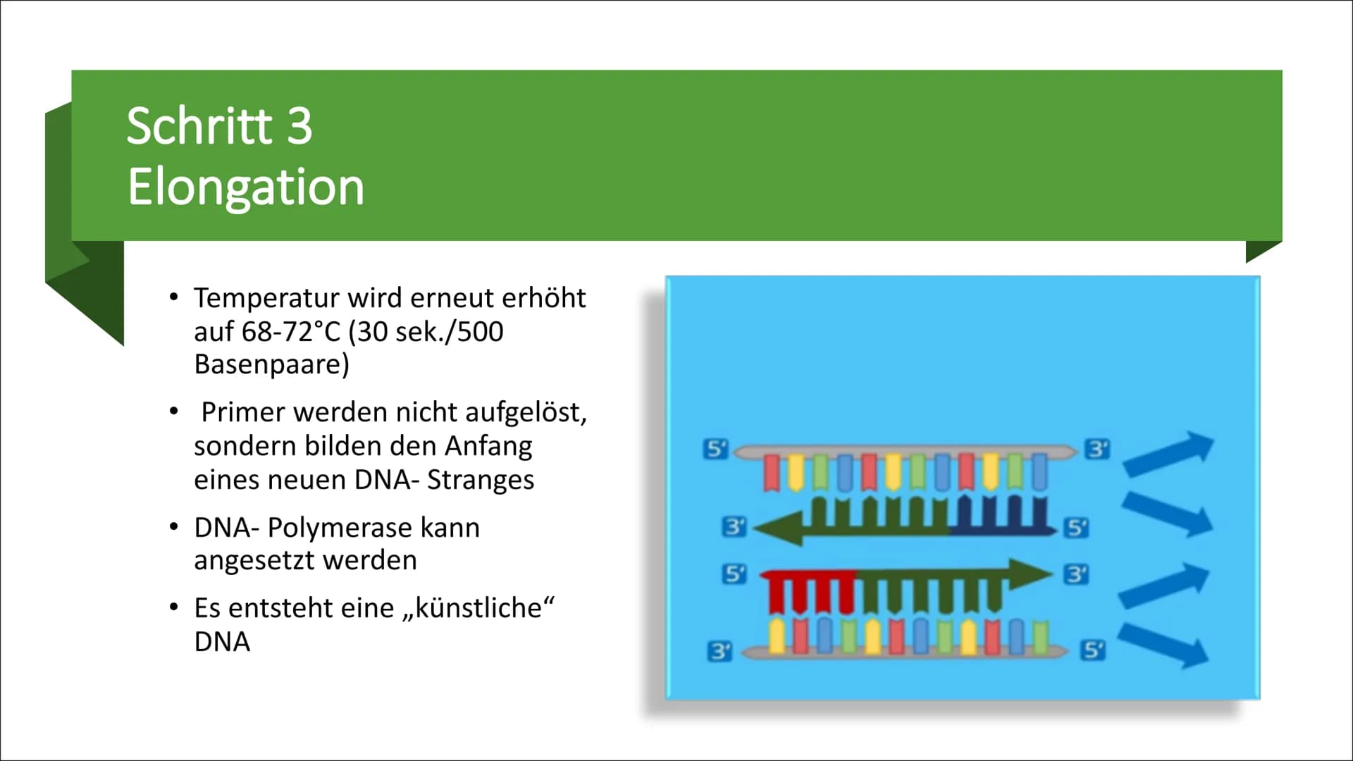 Molekulargenetische
Werkzeuge
Eine Präsentation von Nurish Ilazi Inhaltsverzeichnis
Kapitel 1: PCR
• Kapitel 2: Restriktionsenzyme und die T