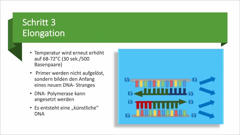 Molekulargenetische
Werkzeuge
Eine Präsentation von Nurish Ilazi Inhaltsverzeichnis
Kapitel 1: PCR
• Kapitel 2: Restriktionsenzyme und die T