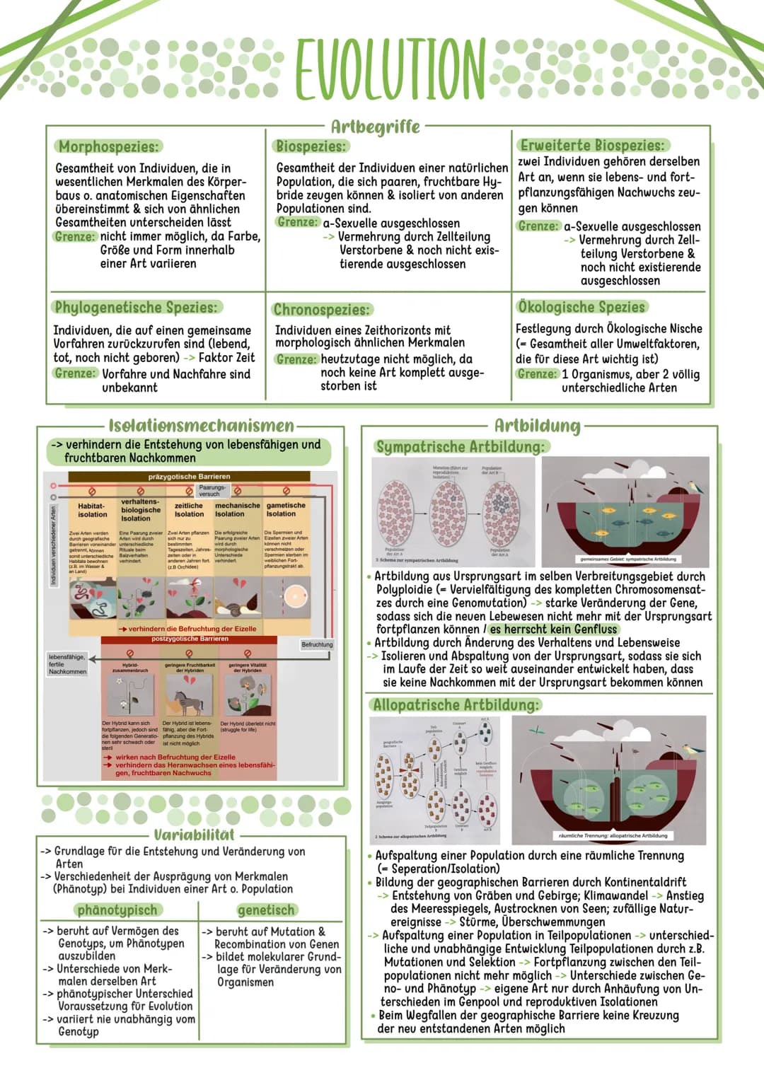 Synthetische Theorie
erklärt am besten Artwandel und
Artentstehung
klassische & moderne Genetik
-> Molekular- & Populationsgenetik
erweitert